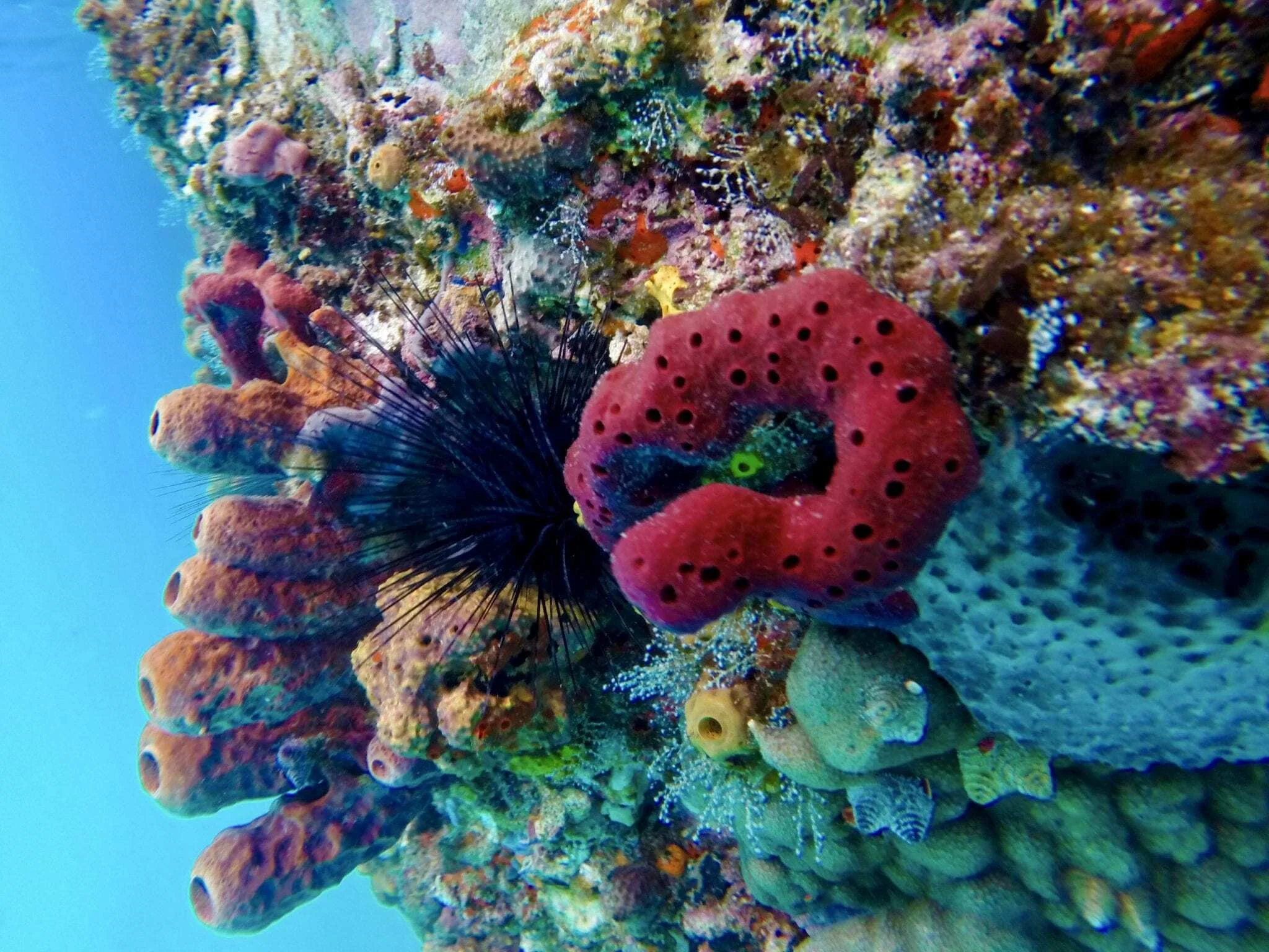 Underwater