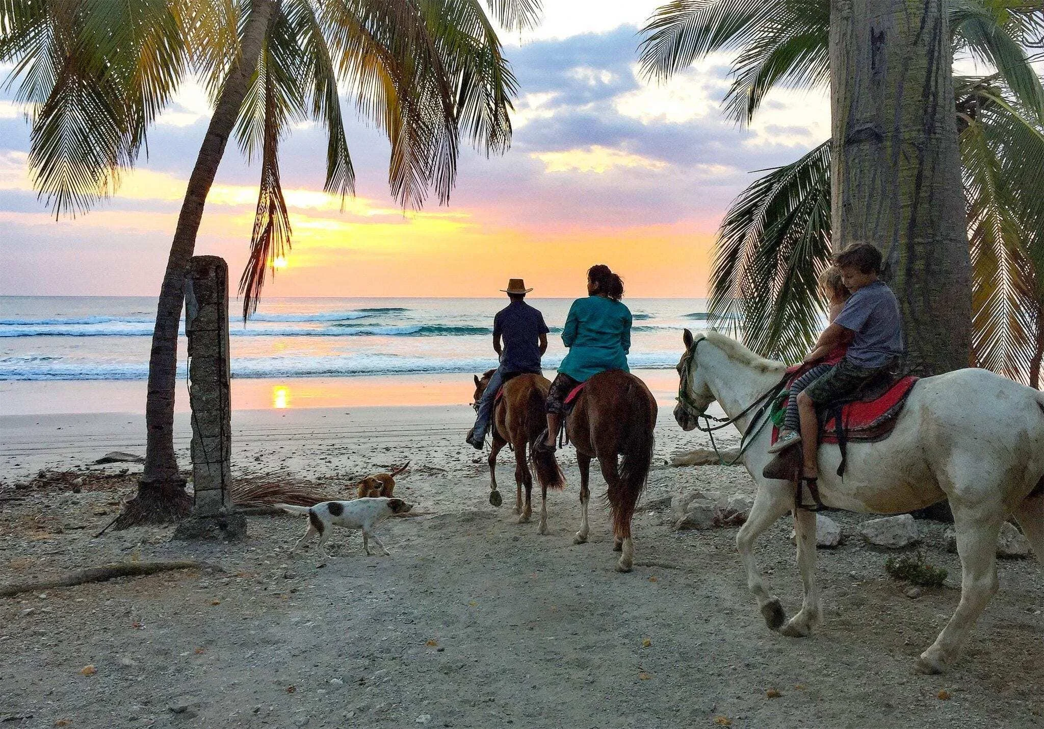 Horseback on the Beach