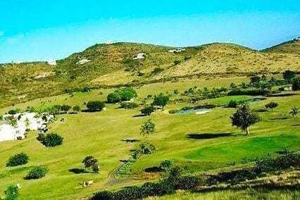 Reef Golf