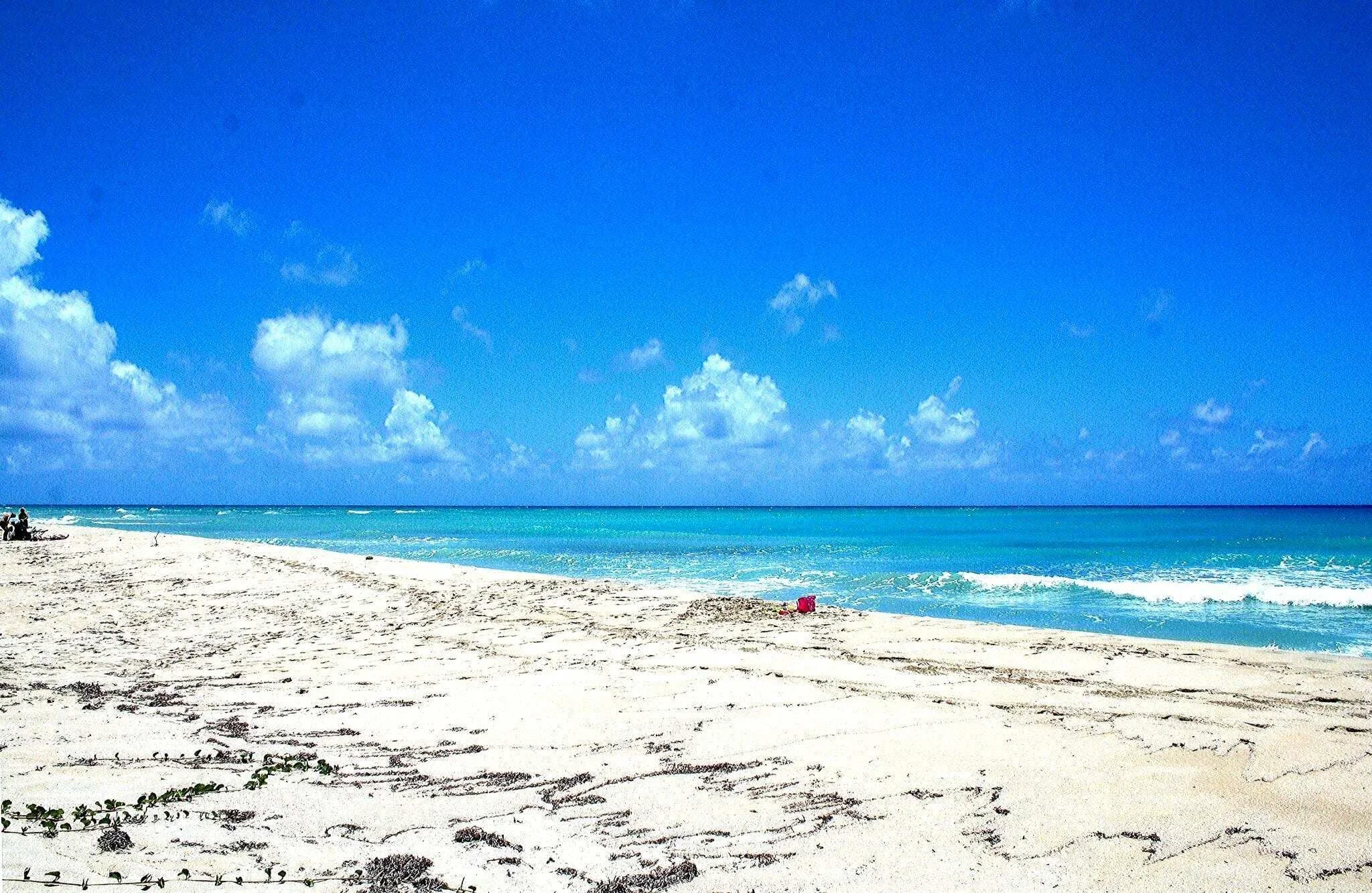 Sandy Point Beach