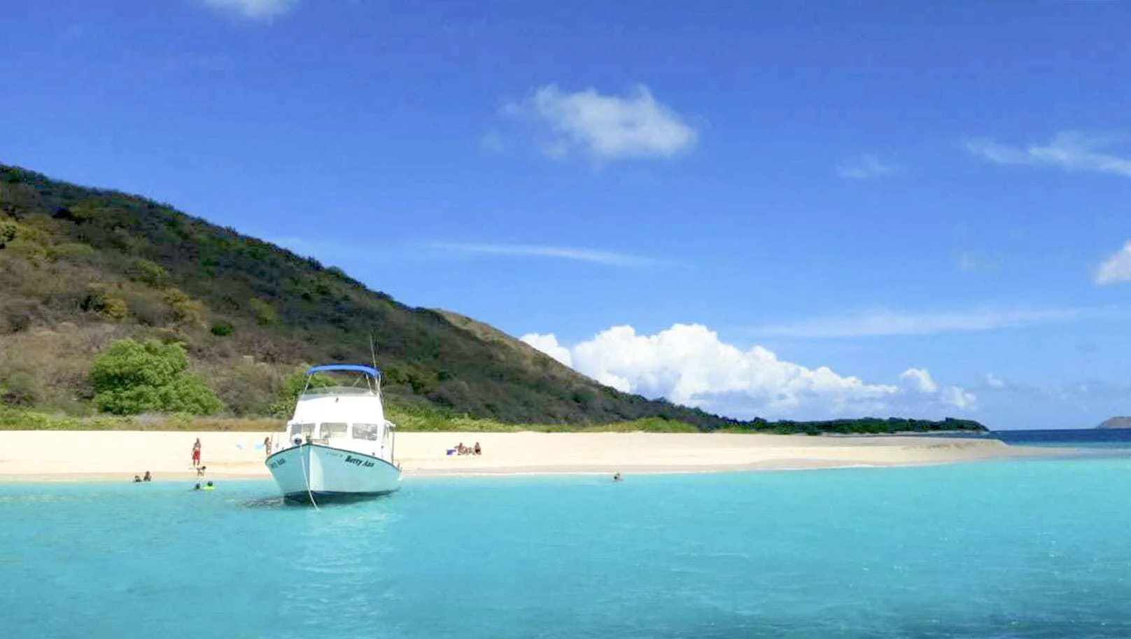 Boat Trips